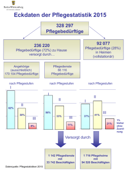 Eckdaten der Pflegestaatistik 2015