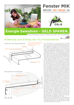 Fenster MIK