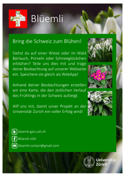 Flyer "Blüemli"