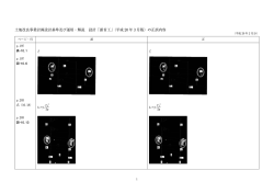 土地改良事業計画設計基準及び運用・解説 設計「頭首工」（平成 20 年 3