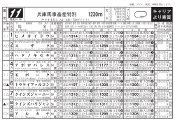 兵庫馬事畜産特別