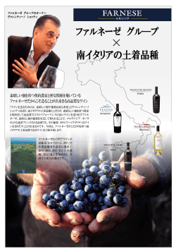 南イタリアの土着品種で造るワイン