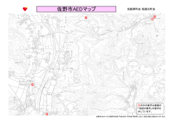 船越南[PDF1150KB]