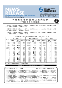 中国 地域専門 量販店販 売動向