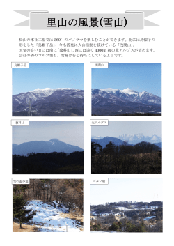 里山の風景(雪山)