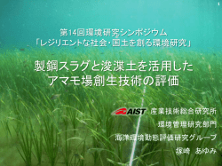製鋼スラグと浚渫土を活用したアマモ場創生技術の評価