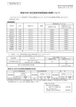 プレスリリース資料 (PDF documentファイル サイズ： 173Kb)