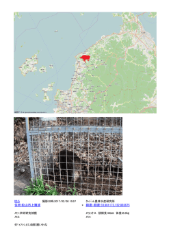 ID:5 住所:松山市上難波 * 緯度・経度:33.981173,132.803675