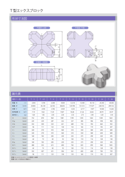 T型エックスブロックの形状図・寸法表はこちら