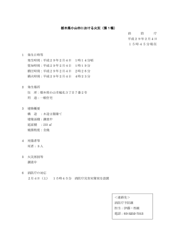 PDFファイル