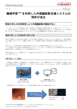 PDF版（291KB） - サイバネットシステム