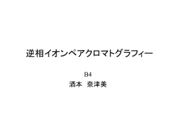 逆相イオンペアクロマトグラフィー