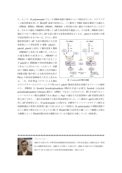 た。そこで、O. polymorpha でもこの PHO 経路の構成について検討を
