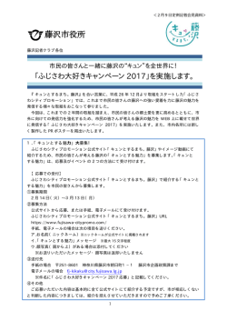 記者会見資料（PDF：249KB）