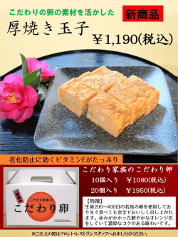 PowerPoint プレゼンテーション