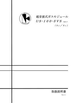 US-100-5VS type.2