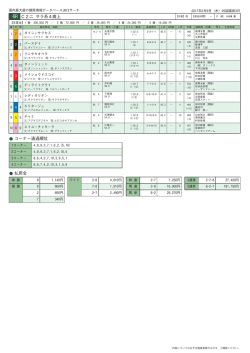 6R C2二 サラ系4歳上 コーナー通過順位 払戻金