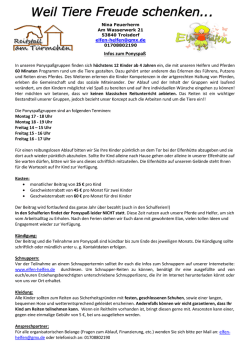 Infoblatt Ponyspa&szlig;