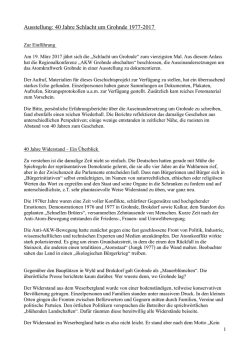 Download: Langfassung / ausf&uuml;hrlichere