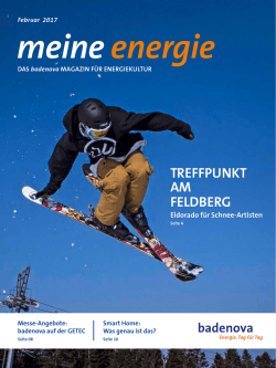 meine energie, 2017-01