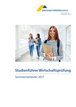 Studienführer Wirtschaftsprüfung