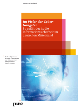 Im Visier der Cyber- Gangster So gef&auml;hrdet ist die