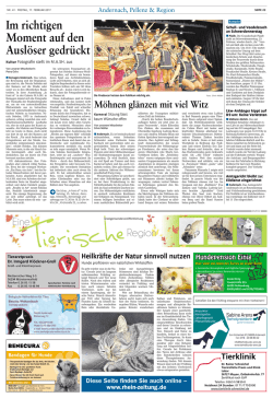 Im richtigen Moment auf den Ausl&ouml;ser gedr&uuml;ckt - Rhein