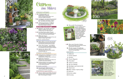 im M&auml;rz - Mein sch&ouml;ner Garten