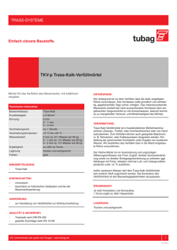 TKV-p Trass-Kalk-Verf&uuml;llm&ouml;rtel - Quick-Mix