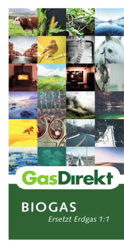 biogas - GasDirekt