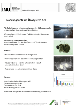 Nahrungsnetz im Ökosystem See - Biologie