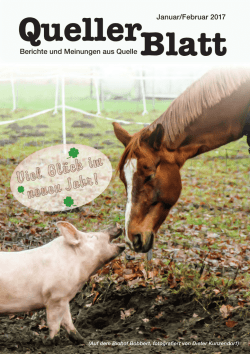 Queller Blatt, aktuelle Ausgabe hier