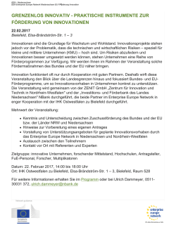 grenzenlos innovativ - praktische instrumente zur f&ouml;rderung von