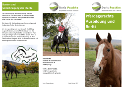 Doris Paschke - Pferdegerechte Ausbildung und Beritt