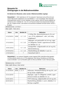 Kellerbuch__Ma&szlig;nahmenblatt_mit_Vorlage