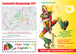 Dieburger Fastnachtszug 2017