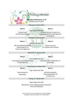 Direkt zum aktuellen Mittagsmen&uuml;-PDF