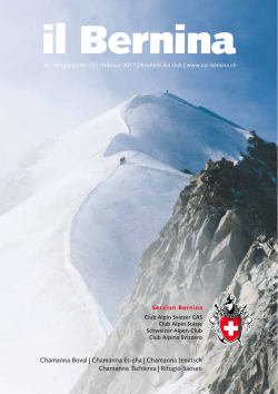 il Bernina Nr 133