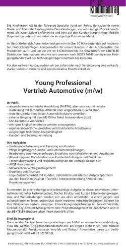Young Professional Vertrieb Automotive (m/w)