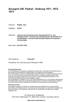 Savognin GR, Padnal : Grabung 1971, 1972, 1973 - E