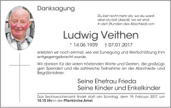 Ludwig Veithen - Grenz-Echo