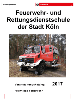 Jahresausbildungsplan FF 2017