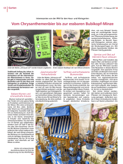 Vom Chrysanthemenbier bis zur essbaren Bubikopf