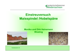 Vortrag Monika Heinemann