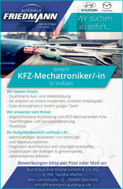 KFZ-Mechatroniker - Pfalz-Echo
