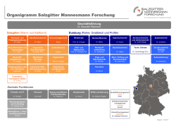 Organigramm Salzgitter Mannesmann Forschung