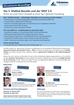PDF - TriSolutions GmbH
