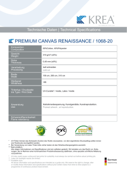 premium canvas renaissance / 1068-20