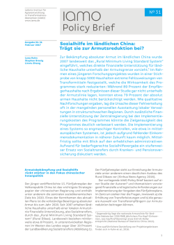 IAMO Policy Brief 31