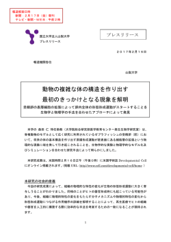 動物の複雑な体の構造を作り出す 最初のきっかけとなる現象